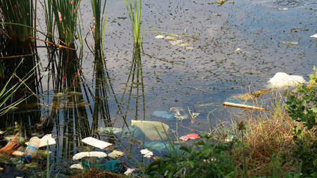 River that is polluted with various garbage and trash, Polluted rivers, photography