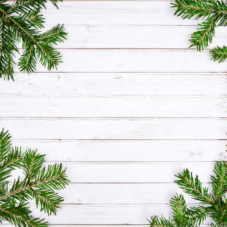 Christmas tree on white rustic wooden backgroundの写真素材