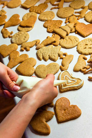 biscuitの写真素材