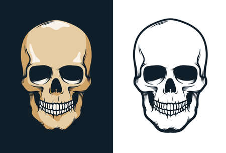Skull in retro vintage styleのイラスト素材