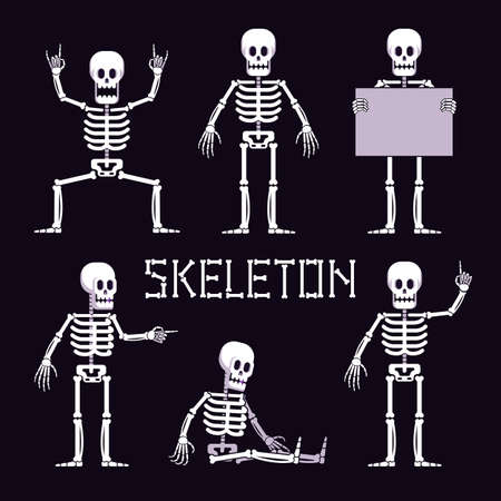 Skeleton in various poses is cartoon style. Funny skeleton with various gestures. Vector illustration.のイラスト素材