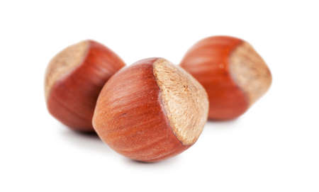 Closeup view of hazelnuts over white backgroundの写真素材