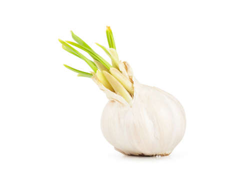Closeup view of garlic isolated on white background の写真素材