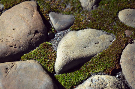 stone pavementの写真素材