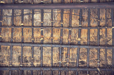 thatched roofの写真素材