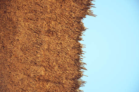 thatched roofの写真素材