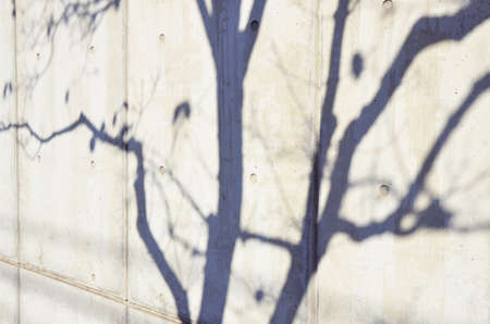 wallの写真素材