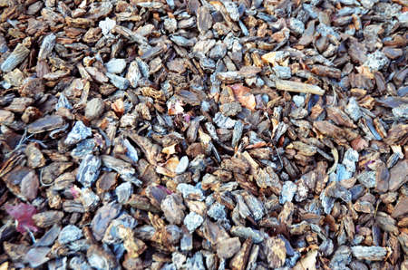 wood chipの写真素材