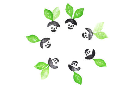 leavesの写真素材