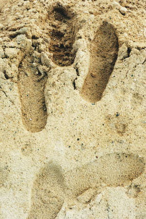 footprintの写真素材