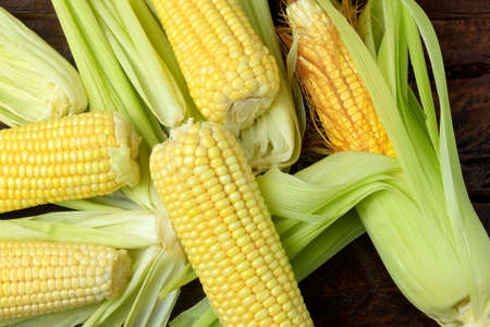 cob of raw corn, with straw, harvested from plantation, on rustic wooden table. Top view