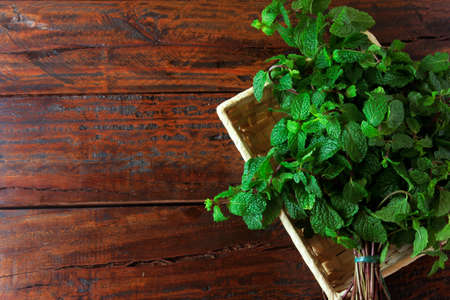 Group of green organic fresh mint in basket over rustic wooden desk. Aromatic peppermint with medicinal and culinary uses. Top viewの写真素材