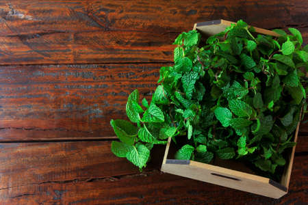 Group of green organic fresh mint in basket over rustic wooden desk. Aromatic peppermint with medicinal and culinary uses. Top viewの写真素材