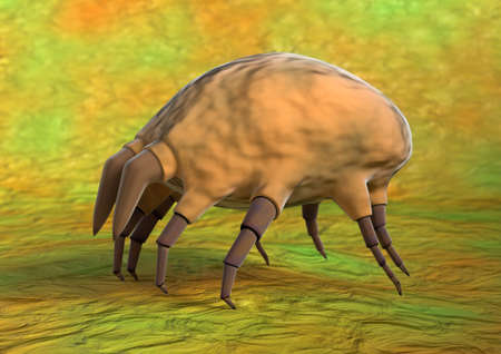 Dust mites are extremely small organisms, visible only under a microscope, that cause legacy...