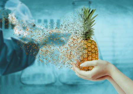 Hand holding pineapple in process of disintegration with laboratory backgroundの写真素材
