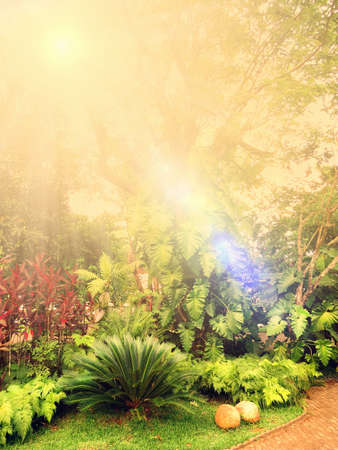 Beautiful outdoor garden lit by sunshine from the dusk. Front viewの写真素材