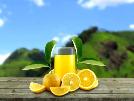 glass of orange juice on natural farm landscape background. Front view