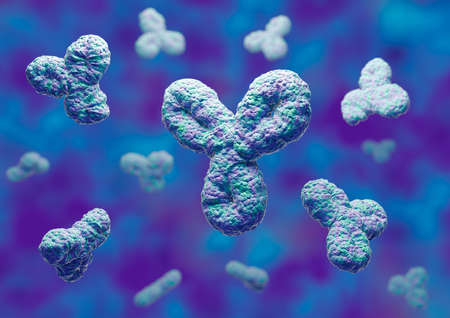 Human antibodies, immunoglobulin proteins, Immune system. 3D renderingの写真素材