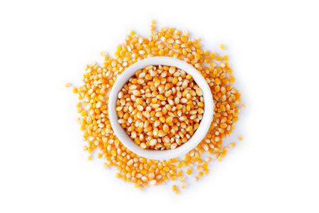 Raw popcorn kernels, seeds or grains in the ceramic bowl isolated on white background. top view