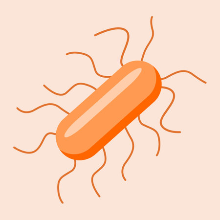 Listeria monocytogenes is a pathogenic bacterium responsible for listeriosis in humans and animals. 2D illustrationの写真素材