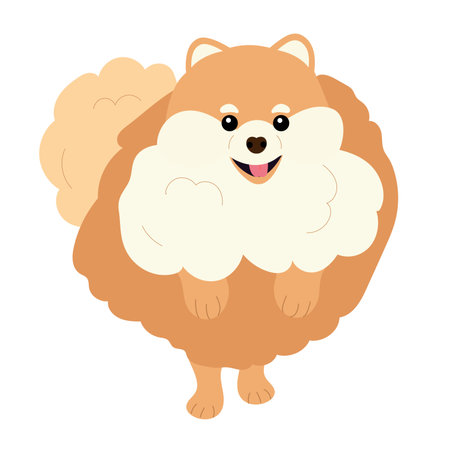 Cute pomeranian dog isolated on white background. vector illustration.のイラスト素材