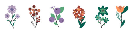 set of flowers and leaves decorative icon vector illustration design vector illustration designのイラスト素材