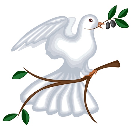 The white pigeon is sitting on a branch your wings and holding the olive branch in its beakのイラスト素材