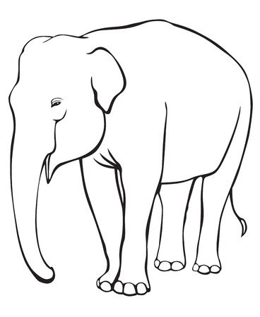 The contour image of a standing elephantのイラスト素材