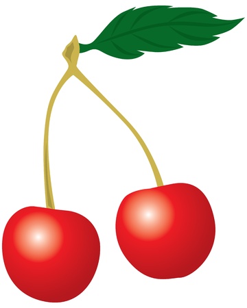 Two ripe cherries are petiolate with leafsのイラスト素材