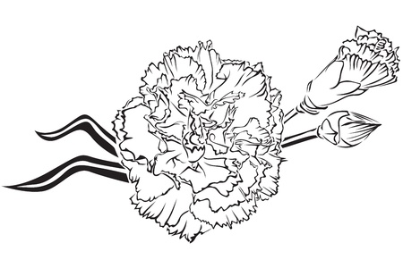 The contour image of beautiful bouquet of carnationsのイラスト素材