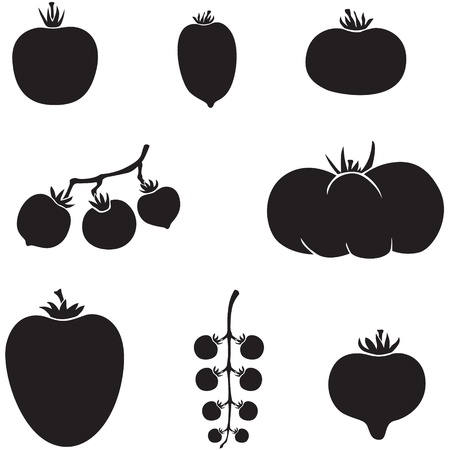 A set of images of different varieties of tomatoesのイラスト素材