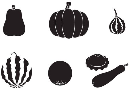 Pumpkin, watermelon, melon, zucchini, squashのイラスト素材