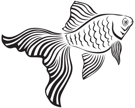 Line art image of a gold fish with its veiltailのイラスト素材