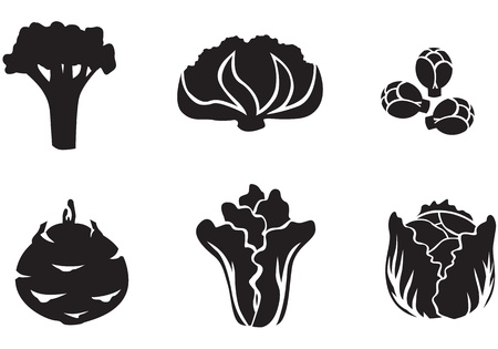 Set of silhouette images of different varieties of cabbageのイラスト素材