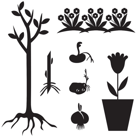 Set of silhouette images of garden seedlings and sproutのイラスト素材