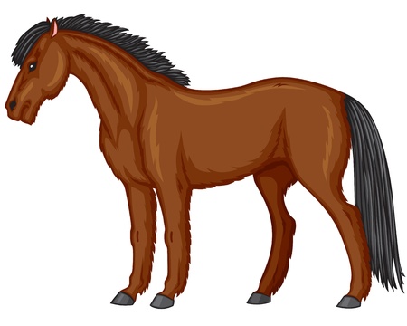Cartoon image furry chestnut ponyのイラスト素材