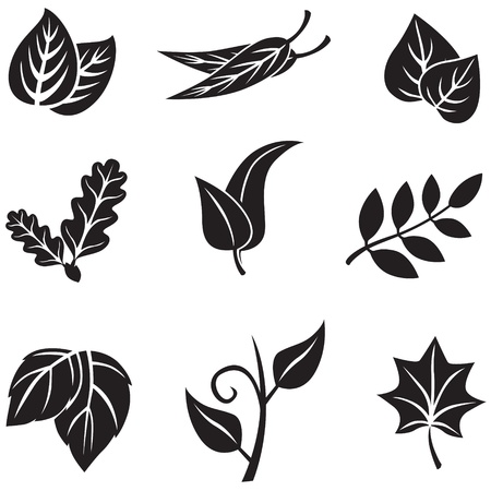 Silhouette images set with leavesのイラスト素材