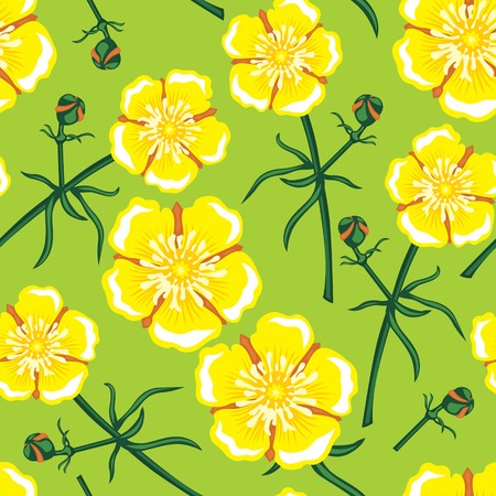 Seamless pattern with beautiful yellow buttercup flowerのイラスト素材
