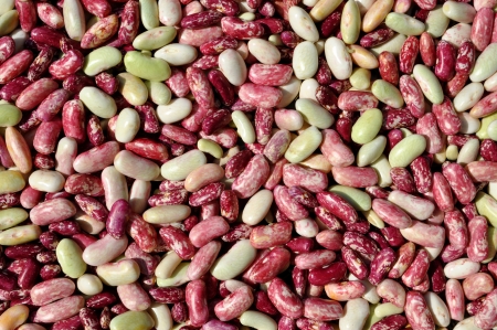Motley peeled beansの写真素材