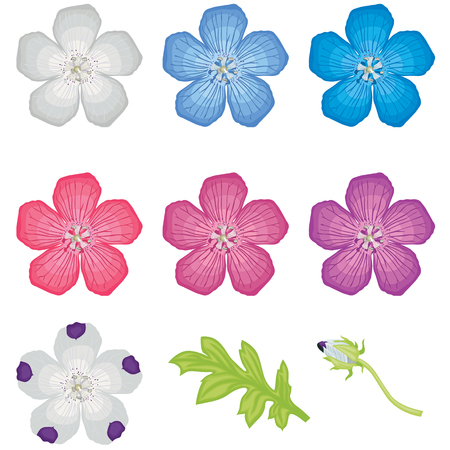 Set of multicolor flowers and leafのイラスト素材