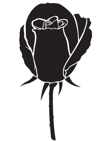 Silhouette image bud rose flowerのイラスト素材