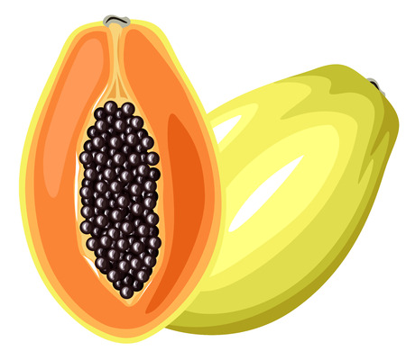 Cartoon colorful image papaya fruitのイラスト素材