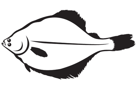 Contour image of fish flounderのイラスト素材