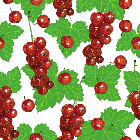Pattern seamless of bunches of ripe red currant berries and green leavesのイラスト素材