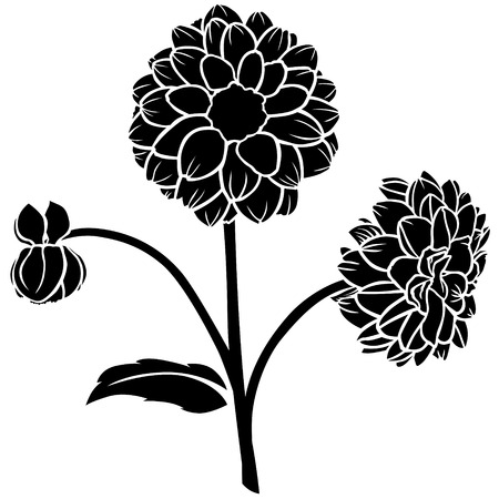 Silhouette image of beautiful lush dahlia flower のイラスト素材