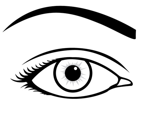 Contour image of female eyeのイラスト素材