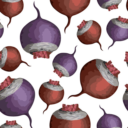 Vector illustrations of seamless pattern with beetroots vegetablesのイラスト素材