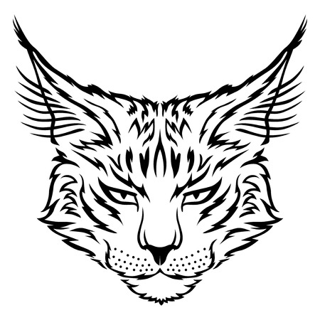 Vector illustrations of contour image of muzzle flurry angry catのイラスト素材