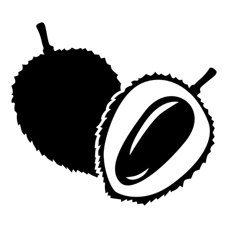 Vector illustrations of lychees fruitのイラスト素材