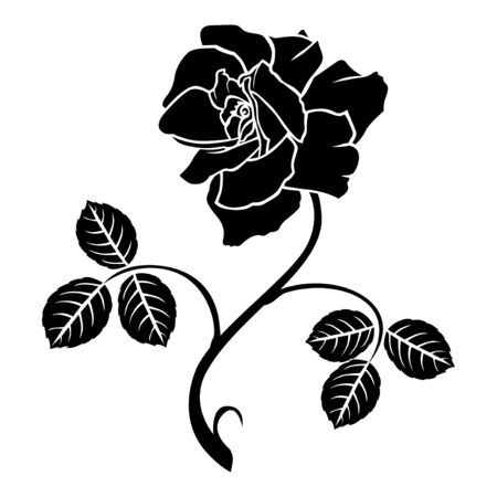 Illustrations of roses decorative rose flowerのイラスト素材